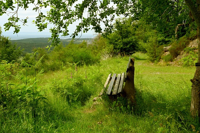 战胜天津津 战胜天津津