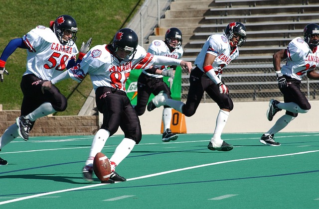 必将在未来 必将在未来